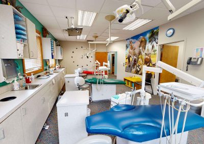Asheville pediatric dentists
