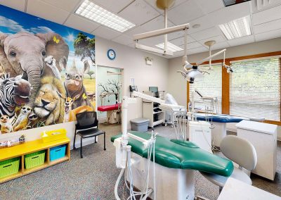 Asheville pediatric dentists